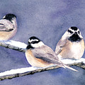 Holiday Chickadees