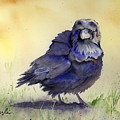 Judy's Raven