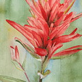 Paintbrush Portrait