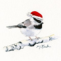 Santa Bandit - Chickadee